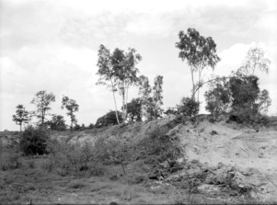 Natuurschoon , Geijsteren, Bestanddeelnr 192-0018