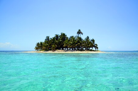 Landscape palm trees seascape