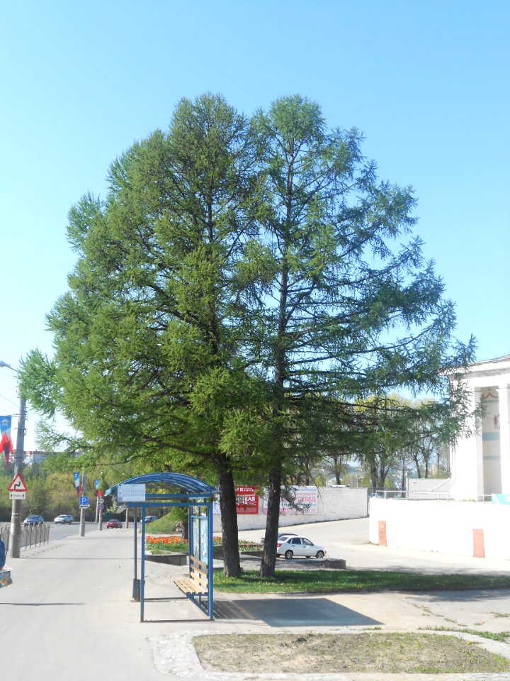 Nature in Smolensk - 35