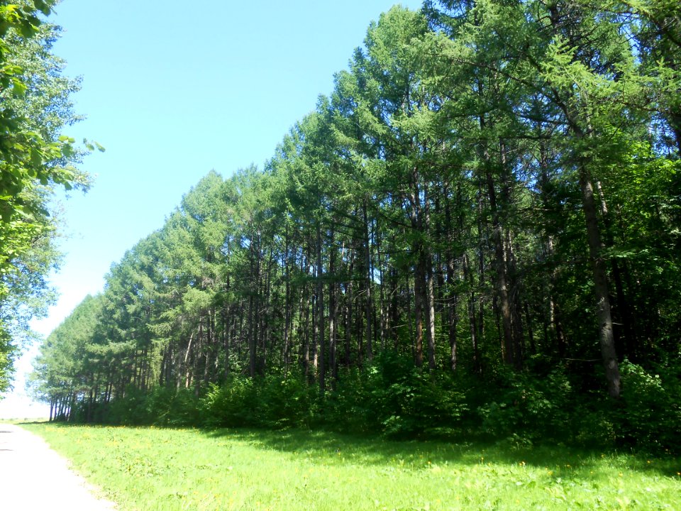 Nature in Smolensk - 66
