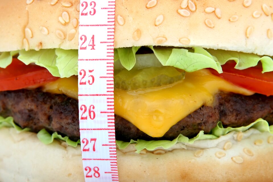 Burger cheese fast