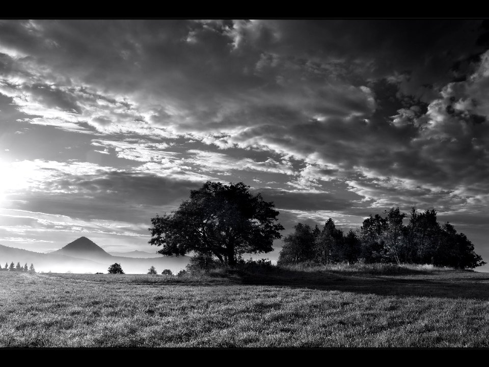 Nature Landscape (248036121)