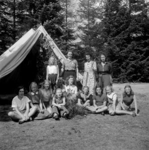NCJC kamp Diever, Bestanddeelnr 902-9220