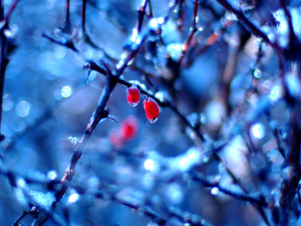 Nature Landscape (248036083)