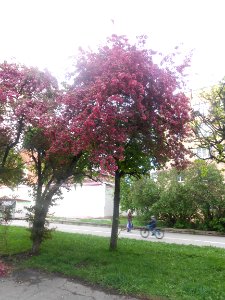 Nature in Smolensk - 63