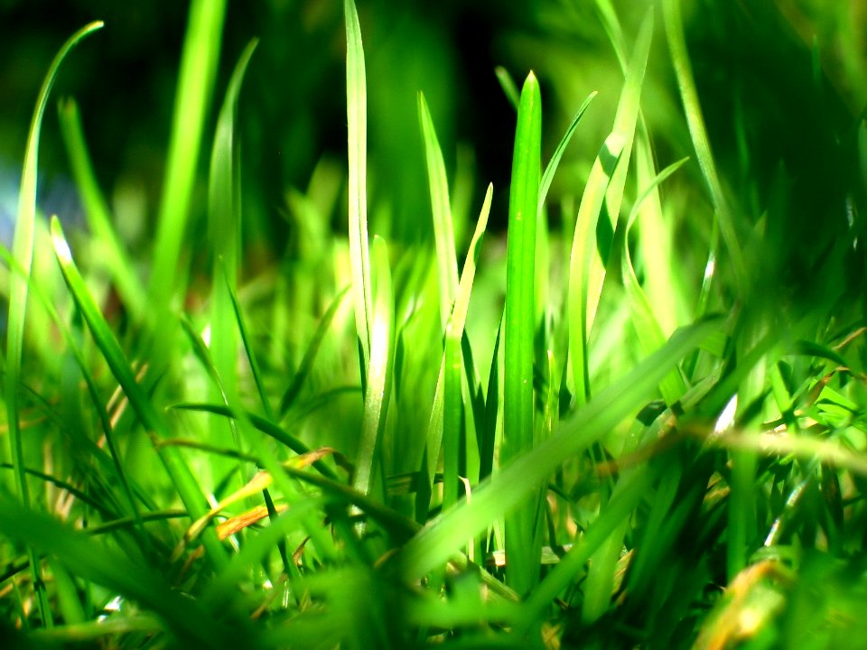 Nature Landscape (248036111)