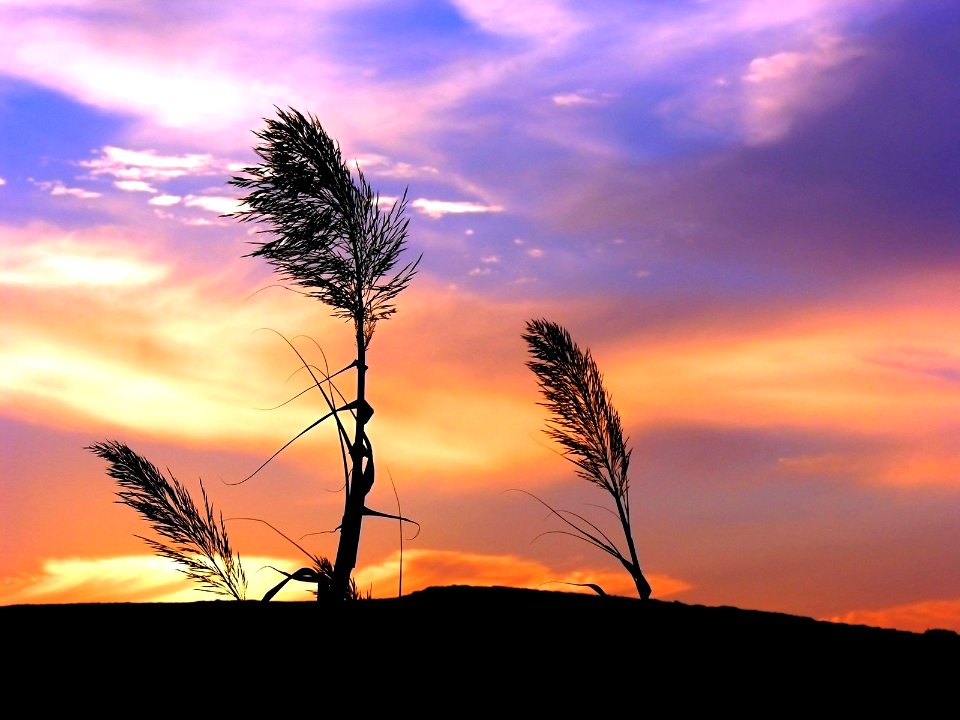 Nature Landscape (248036131)