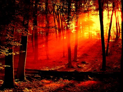 Nature Landscape (248036127)