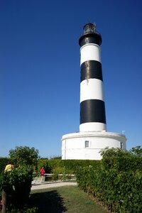 Sea electric headlight ocean