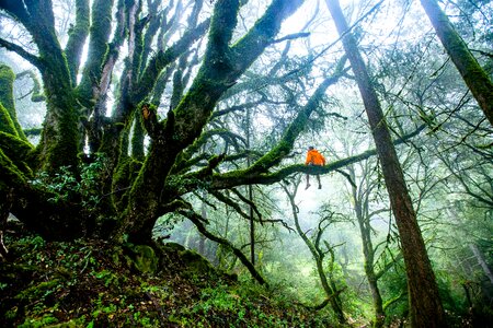 Adventure nature natural