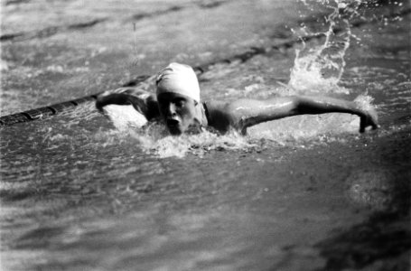Nationale Zwemkampioenschappen in Zutphen. Annemarie Verstappen in aktie op 200m, Bestanddeelnr 932-0240