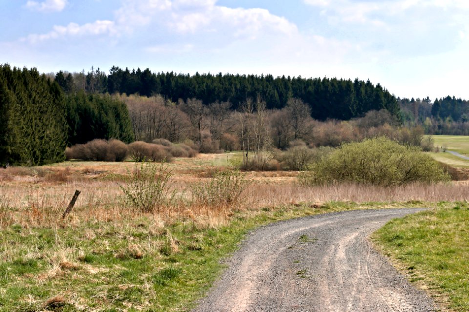 Nature reserve Quellgebiet Enspeler Bach (06)
