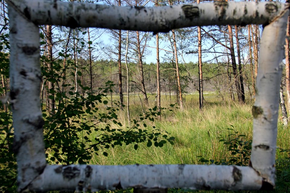 Naturschutzgebiet Loben 1