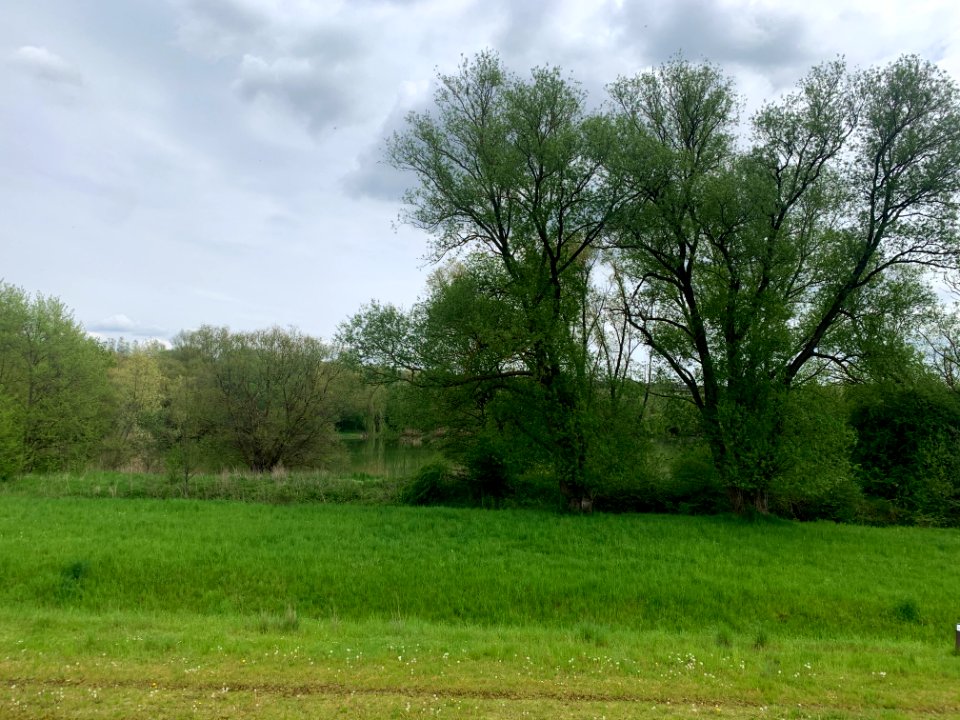 Naturschutzgebiet Leineniederung Salzderhelden (3)