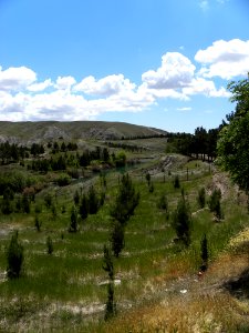 Nature of Nishapur 19