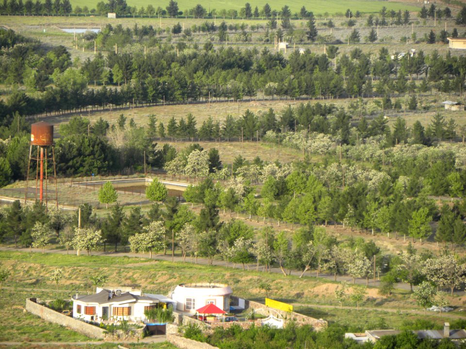 Nature of Nishapur 14