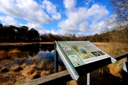 Naturschutzgebiet Fürstenkuhle 08