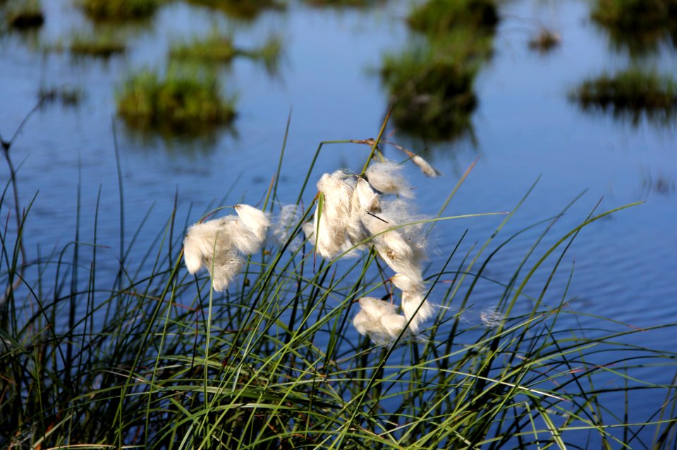 Naturschutzgebiet Loben 5