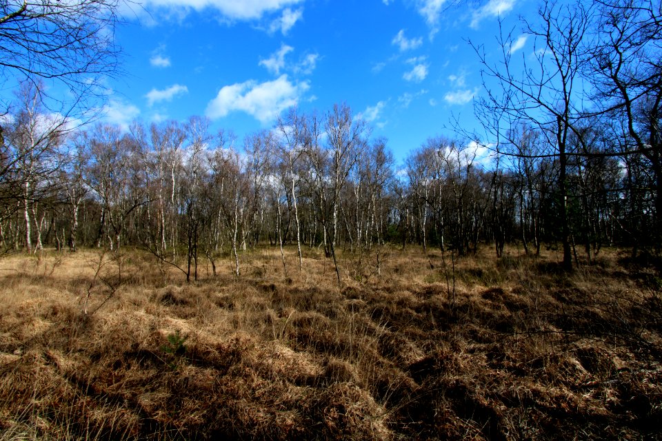 Naturschutzgebiet Fürstenkuhle 07