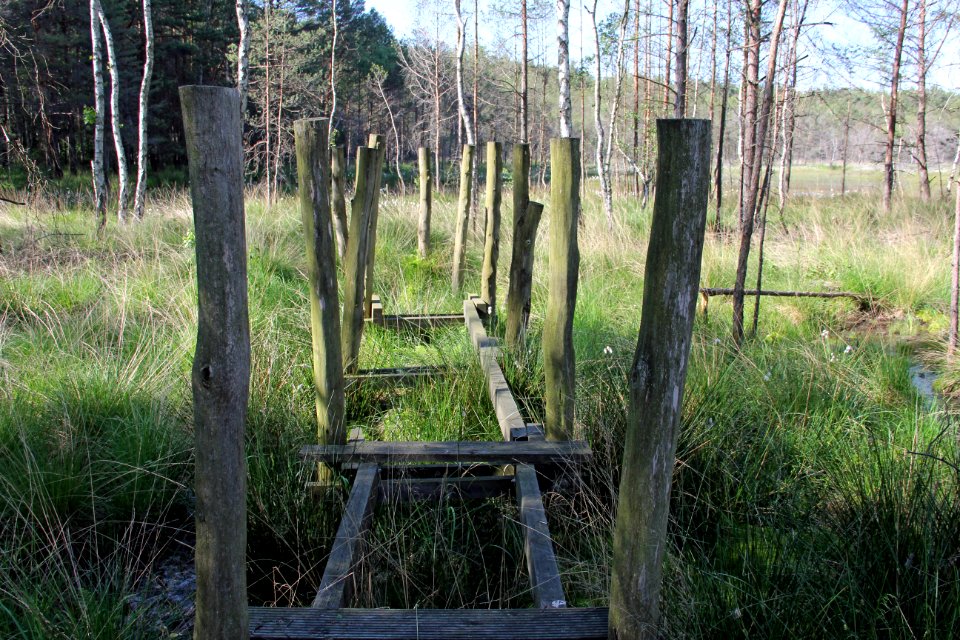 Naturschutzgebiet Loben 2