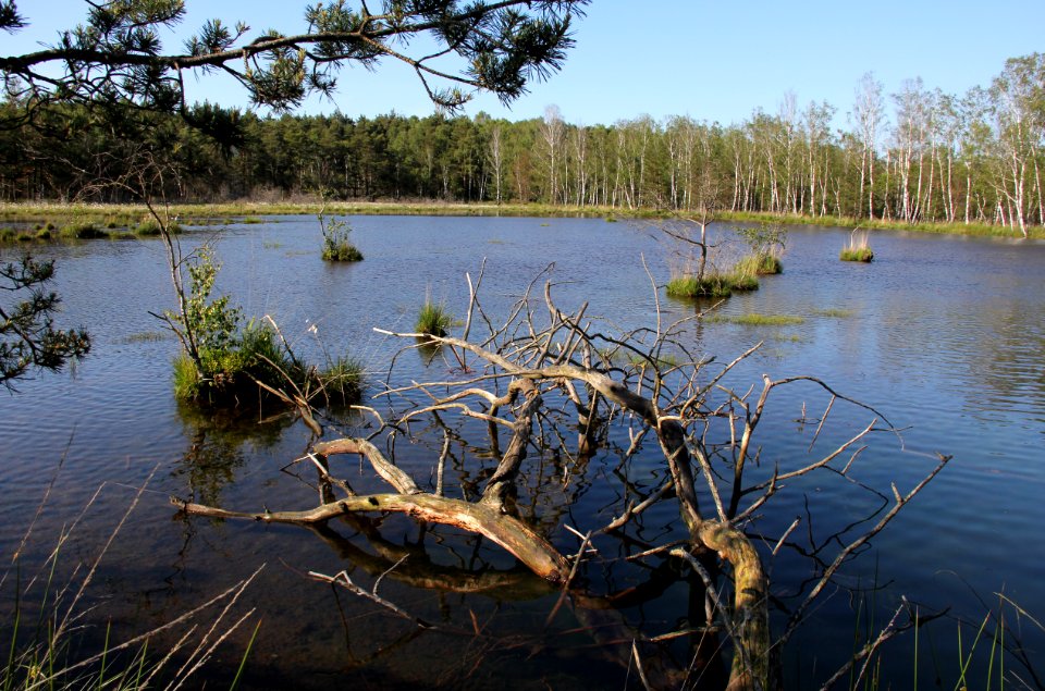 Naturschutzgebiet Loben 4