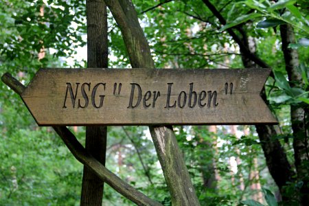 Naturschutzgebiet Loben 29
