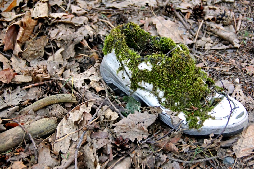 Naturschutzgebiet Loben 27
