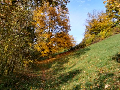 NatSch-HalbtrockenrasenFuchs-Innenansicht2