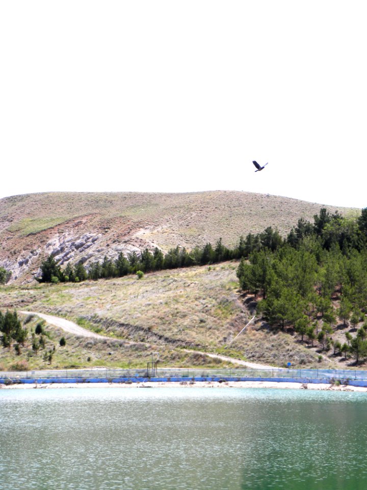 Nature of Nishapur 20