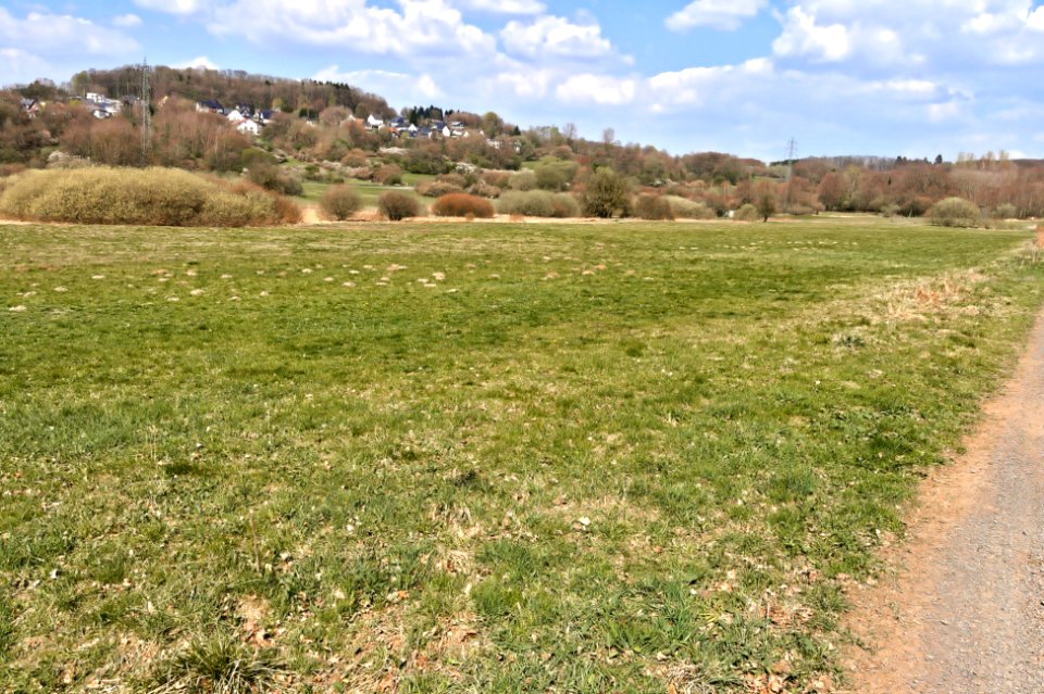 Nature reserve Quellgebiet Enspeler Bach (04)