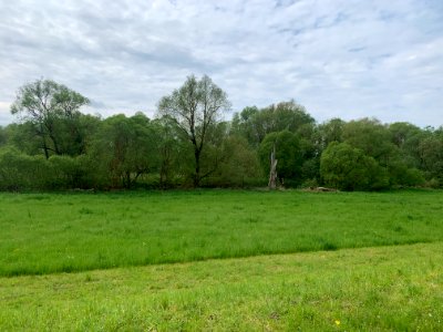 Naturschutzgebiet Leineniederung Salzderhelden (5)