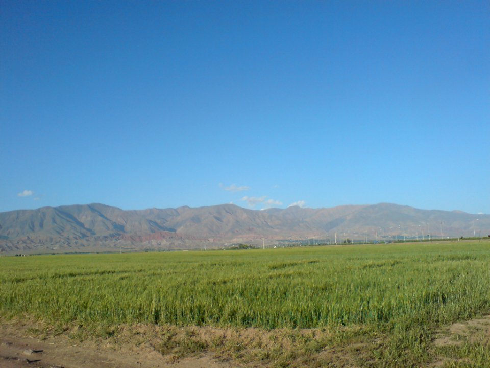 Nature of Nishapur 02