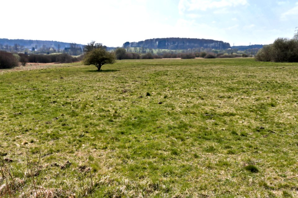 Nature reserve Quellgebiet Enspeler Bach (02)