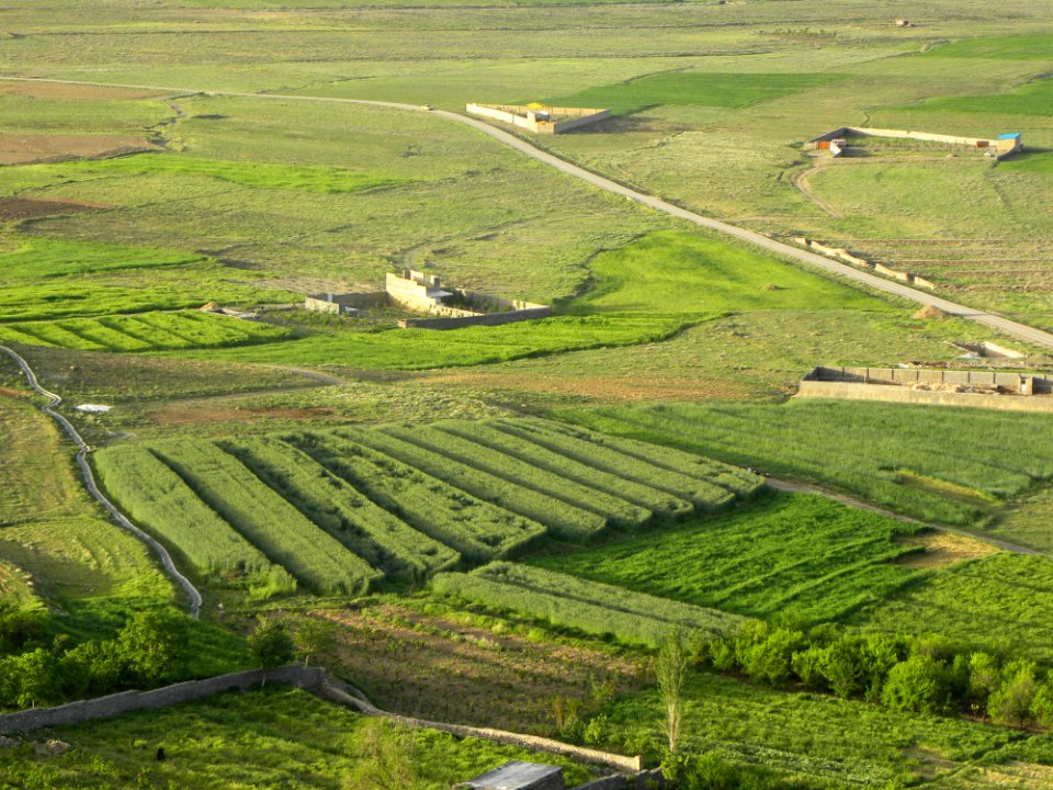 Nature of Nishapur 09