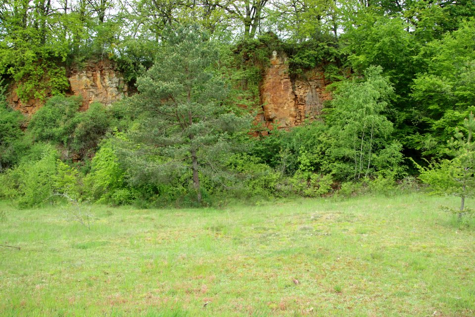 Nature reserve Léiffrächen 20210523-2