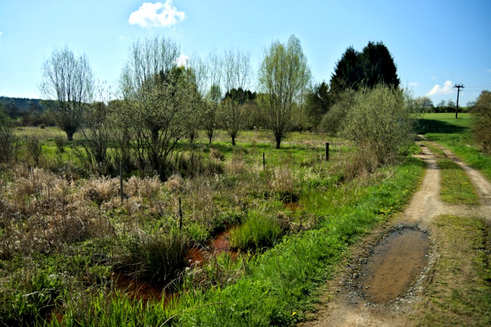 Nature reserve Holzbachtal (02)