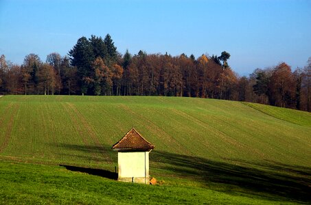 Field agriculture landscape