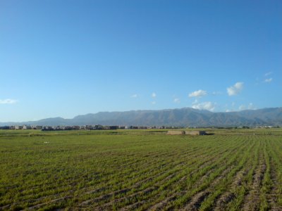 Nature of Nishapur 03