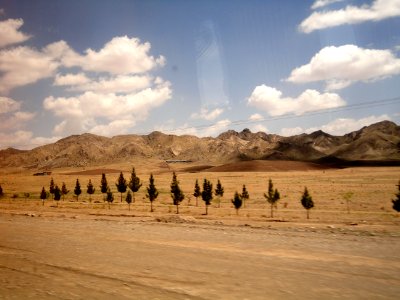 Nature of North of Birjand (12)
