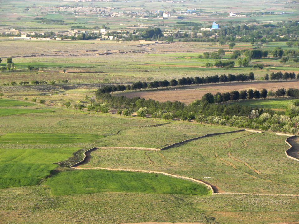 Nature of Nishapur 11