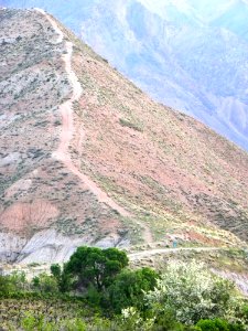 Nature of Nishapur 05