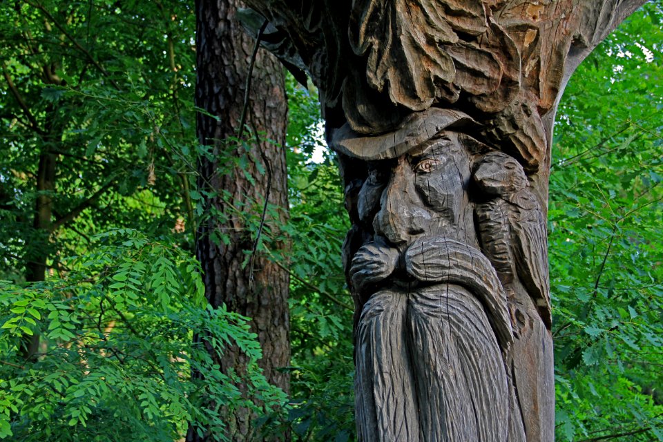 Naturschutzgebiet Loben 28