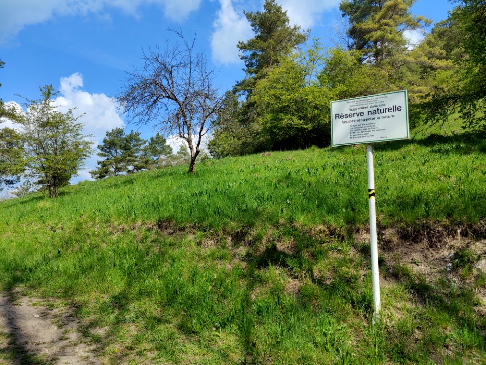 Nature reserve Sonnebierg 20210503 110600