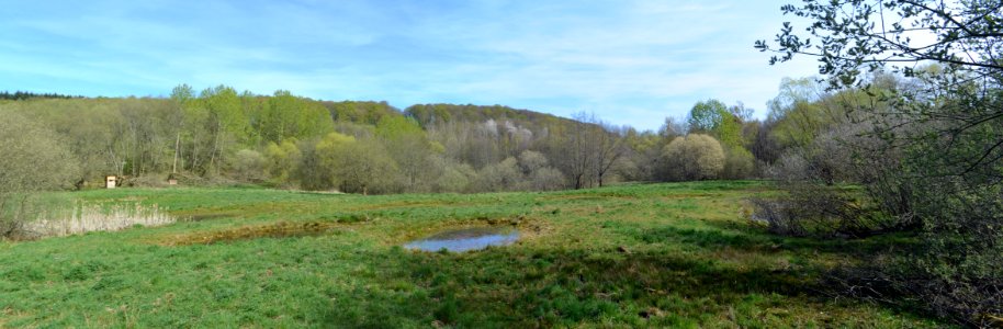 Naturschutzgebiet Hasenwiese