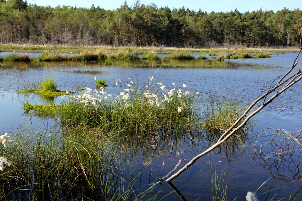 Naturschutzgebiet Loben 15