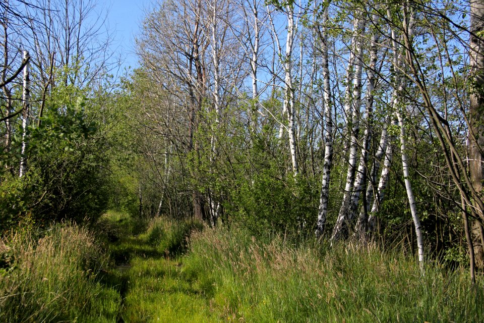 Naturschutzgebiet Loben 21