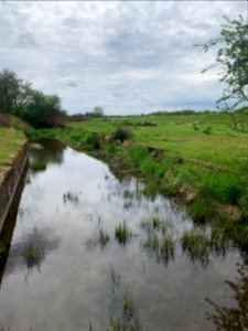 Naturschutzgebiet Leineniederung Salzderhelden (4)