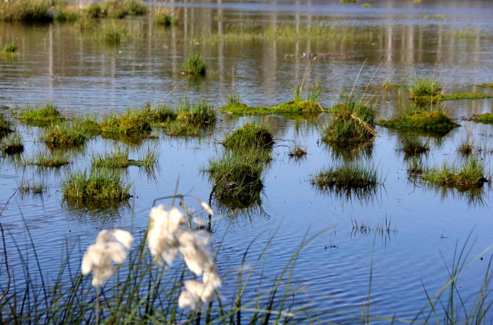 Naturschutzgebiet Loben 13