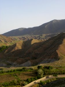 Nature of Nishapur 21