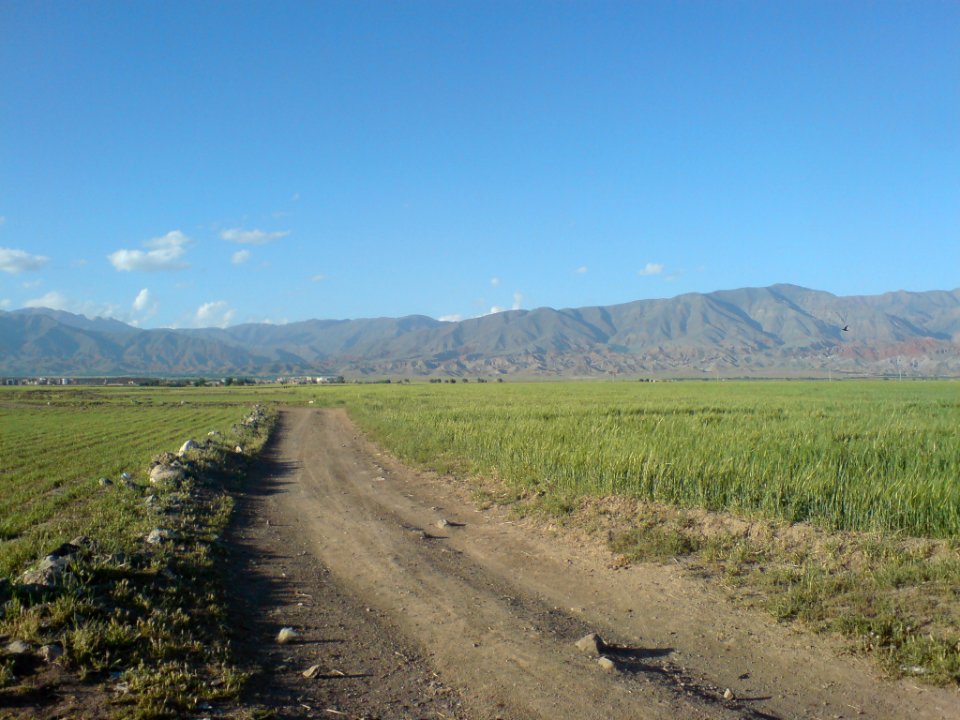 Nature of Nishapur 01
